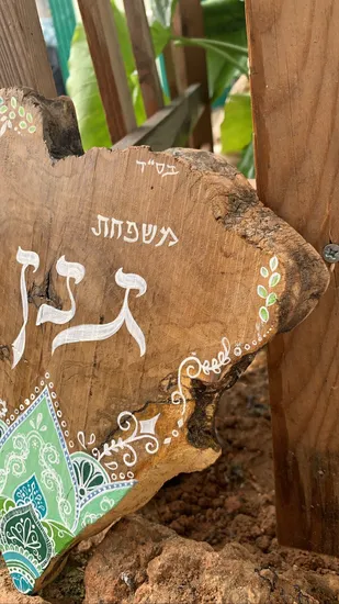 שלט לדלת בעיצוב אישי על עץ זית מהמם