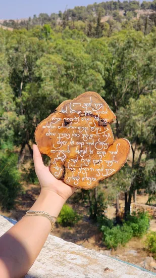 ברכת "אשר יצר"